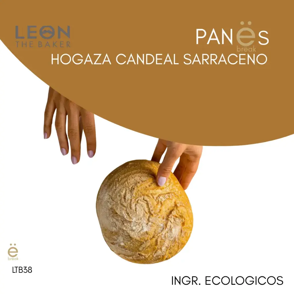 [LTB38] LTB · HOGAZA CANDEAL SARRACENO INGR. ECO