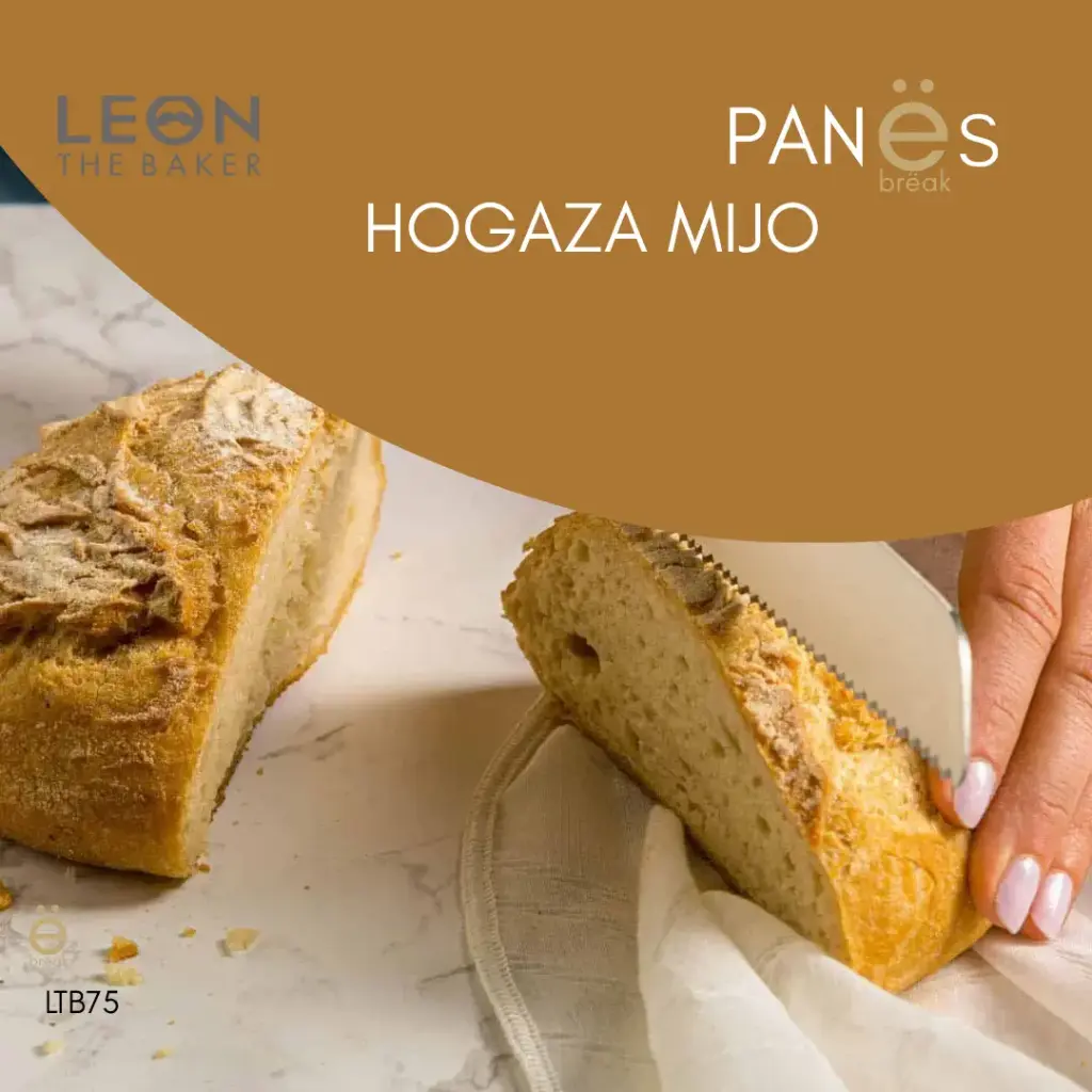 [LTB75] LTB · HOGAZA MIJO