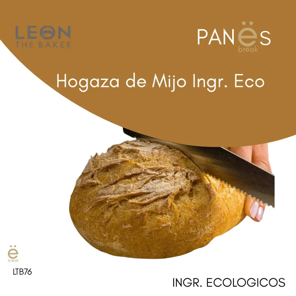 [LTB76] LTB · HOGAZA MIJO INGR. ECO