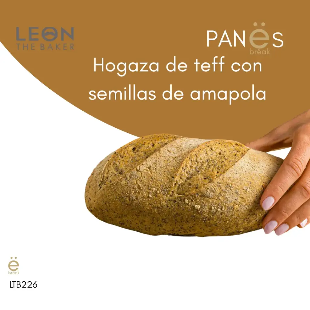 [LTB226] LTB · HOGAZA TEFF