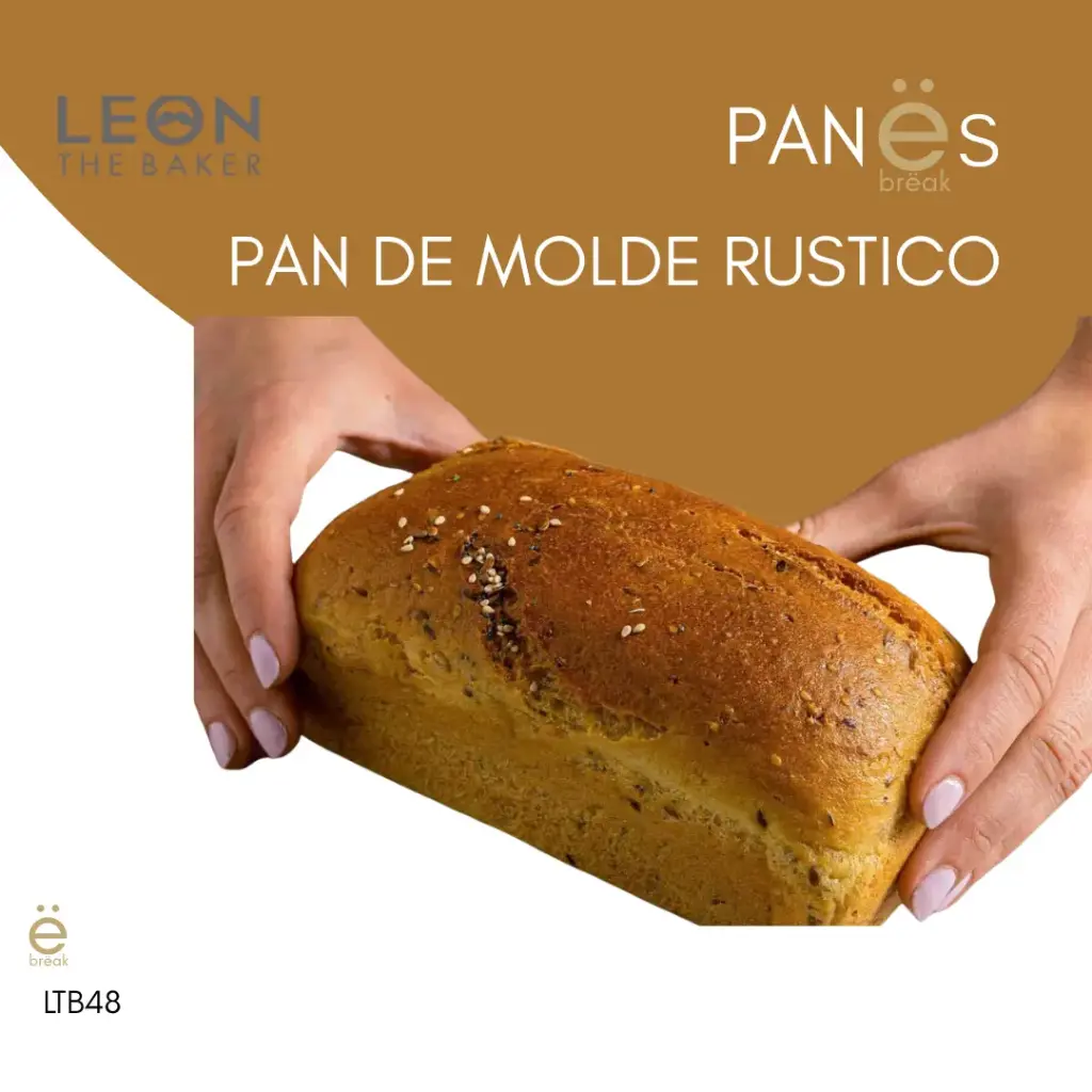 [LTB48] LTB · PAN DE MOLDE RUSTICO
